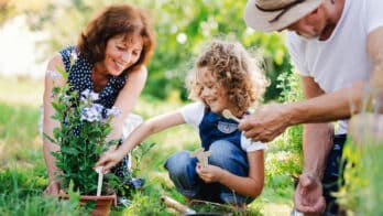 La donation-partage transgénérationnelle