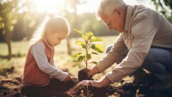 Il n'est jamais trop tard pour transmettre